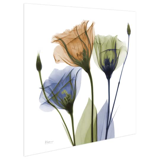 Empire Art Direct 24" x 24" Gentian Buddies Frameless Free Floating Printed Tempered Glass Wall Art